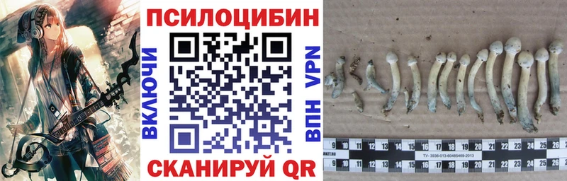 МЕГА   наркота  Нижнекамск  Псилоцибиновые грибы мицелий 